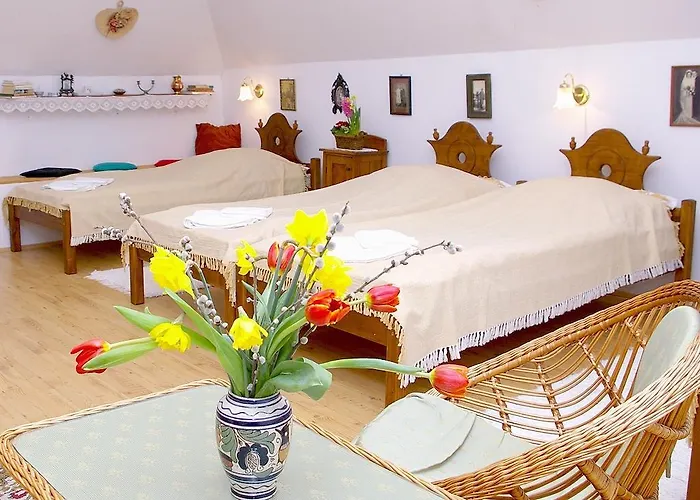 Nadas Fogado 게스트하우스